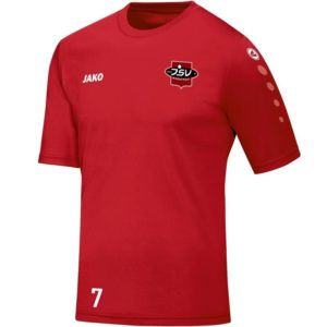 Trikot Team Kinder rot